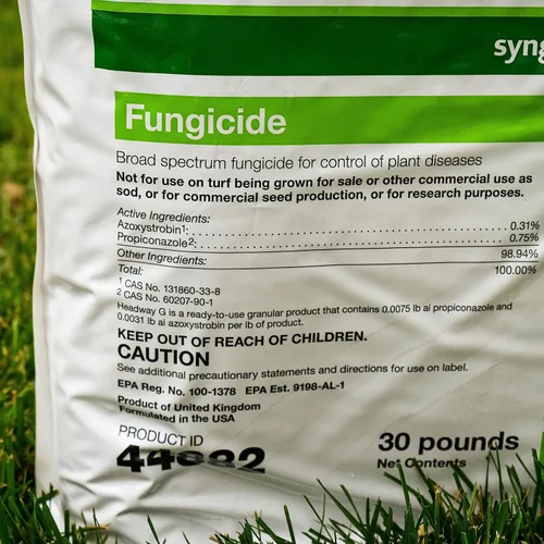 Vista 6 de Syngenta Gránulos fungicidas Headway G