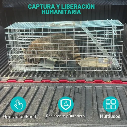 Vista 2 de Trampa para jaula de animales vivos, trampas plegables de mapache de 32 x Plateado