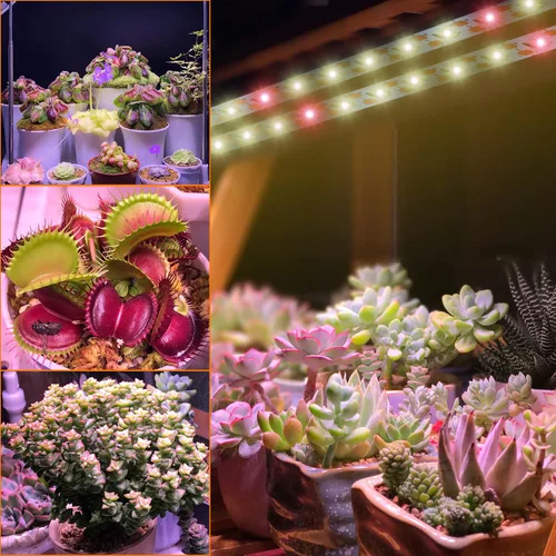 Vista 6 de Tira de luz de cultivo impermeable para plantas de interior, luces de cultivo de plantas de espectro completo para interiores con temporizador