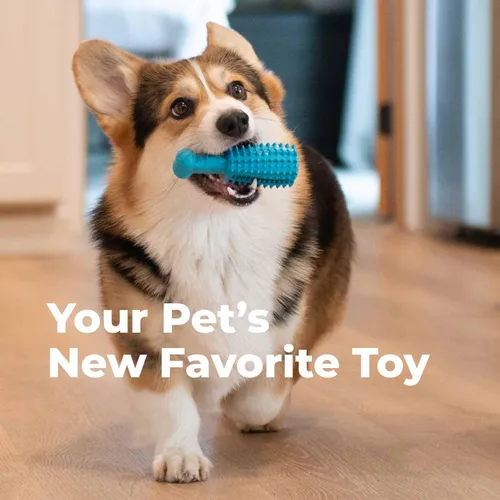 Vista 3 de Oxyfresh Juguete dental masticable para perros, el mejor juguete de limpieza de dientes de perro, un simple juguete de mordida y cepillo que ayuda a