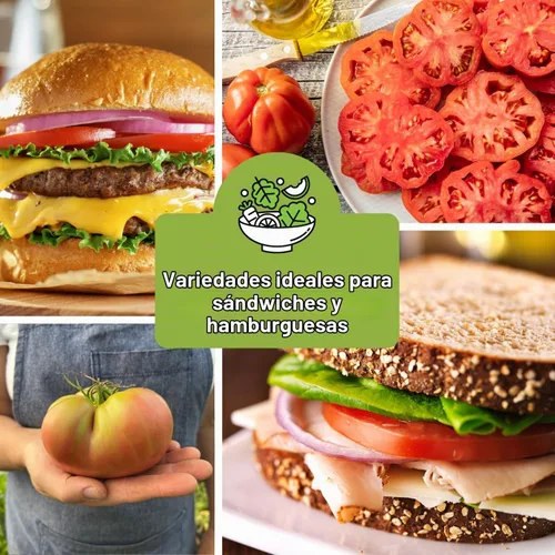 Vista 6 de Sow Right Seeds - Colección de semillas de tomate estilo bistec