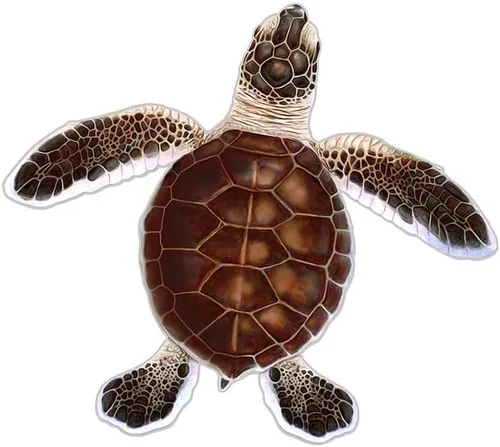 Vista 4 de Turtle Hatchling Style B - Mosaico de porcelana para piscina (estilo B, 5 x 5 pulgadas, marrón)
