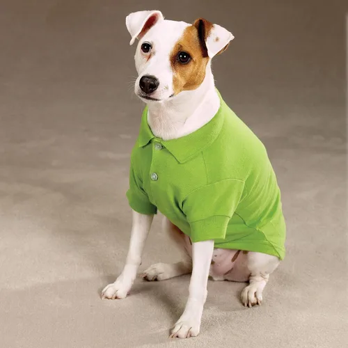 Vista 3 de Zack & Zoey Polo de algodón para perros, 8.0 in XS, color verde loro Verde perico