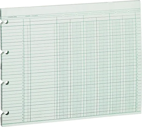 Vista 2 de Wilson Jones Hojas de contabilidad, seis columnas, 9-1/4 x 11-7/8, verde, paquete de 100 hojas sueltas (WLJG106)