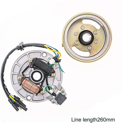 Vista 5 de Kit de rotor de 2 bobinas de encendido Magneto de estator de volante ATV Magneto placa de estator para 50cc 70cc 90cc 110cc 125cc Taotao Kazuma SSR