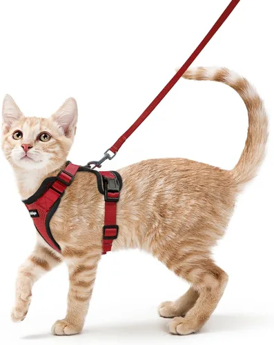 Vista 54 de rabbitgoo Cat Harness and Leash Set, Escape Proof Vest, XXS, Berry Pounce Soft Breathable Mesh, No-choke Adjustable Fit, Snap Buckles, Sturdy