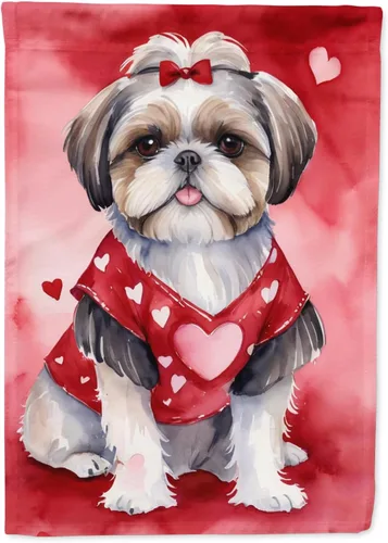 Vista 162 de Caroline's Treasures DAC5252GF Affenpinscher - Bandera de jardín con texto en inglés "My Valentine", bandera decorativa para patio exterior, patio