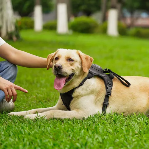 Vista 6 de Arnés 2 en 1 para perro, arnés para mascotas sin tirones con correa autoencogible, función de bloqueo automático para evitar que el perro corra