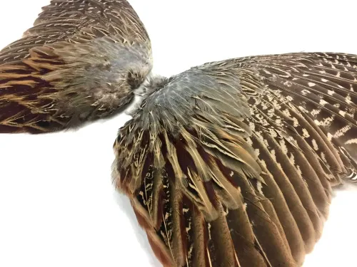 Vista 3 de 1 par - Juego de plumas de gallo de faisán natural (izquierda y derecha) para entrenamiento de perros