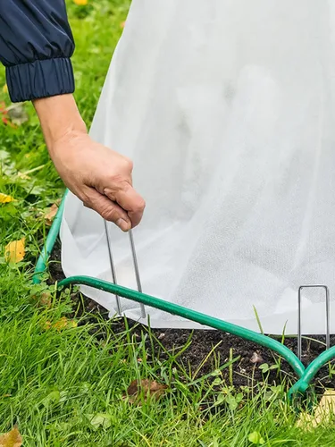 Vista 9 de GROWNEER Paquete de 50 Grapas para Paisajismo de 4 Pulgadas de Servicio Pesado Calibre 11 Acero Galvanizado Estacas de Jardín Grapas Clavijas