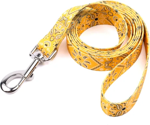 Vista 8 de Country Brook Design® Correa para perro Native Arizona de 1 pulgada - 6 pies Arizona nativa