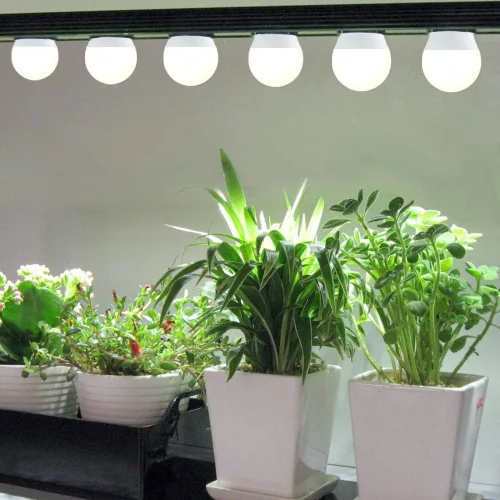 Vista 5 de Paquete de 3 Bombillas de Luz de Crecimiento de Espectro Completo, Luz A19 para Plantas de Interior, Bombilla de Crecimiento de 9W Regulable E26
