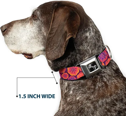 Vista 7 de buckle-down 13 – 18" Boho Mandala morados/Naranjas/PINKS perro collar HUESO, Wide pequeñas
