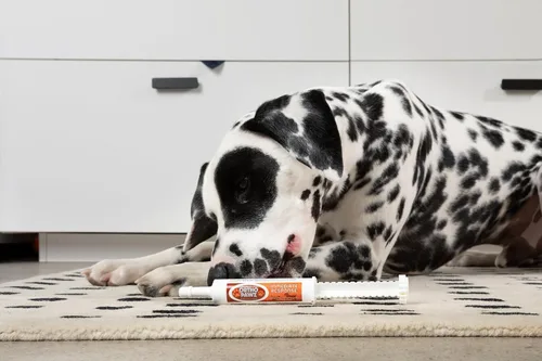 Vista 3 de Respuesta inmediata 1.0 fl oz - Probiótico avanzado y pasta de levadura para perros y gatos - Apoya la salud digestiva, alivio de la diarrea