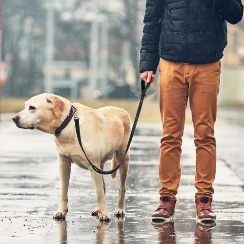 Vista 7 de Fida Correa resistente de 4 pies para perro con 2 cómodas asas acolchadas, asa de tráfico y gancho avanzado de fácil presión, correa reflectante