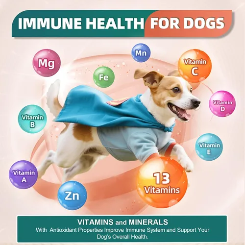 Vista 8 de Multivitamínico para perros, vitaminas y suplementos para perros, multivitamínico para perros con glucosamina, probióticos y Omega 3