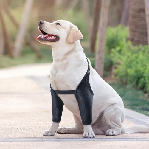 Vista 6 de Protector de codo para perro, de malla transpirable, coderas para callos