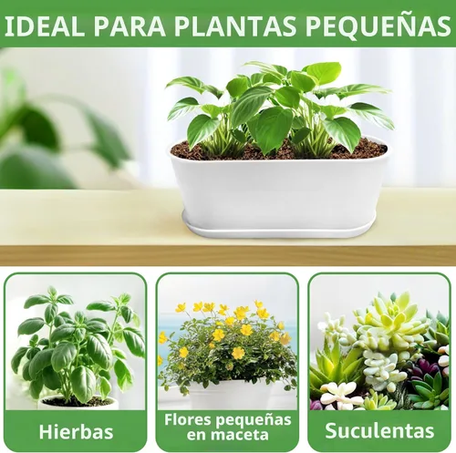 Vista 4 de Juego de 5 macetas para hierbas en ventana, rectangulares, de 8.5 x 3.5 pulgadas, color blanco, con múltiples agujeros de drenaje y bandejas
