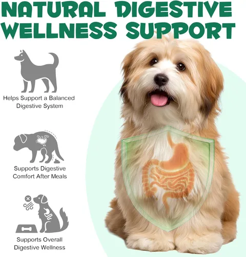 Vista 6 de ALIVO Polvo de carbón activado para perros, gatos, suplemento de salud en polvo de carbón activado, apoya el bienestar digestivo y la frescura oral