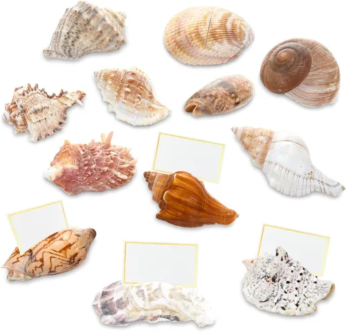 Vista 9 de Novabright Juego de 12 tarjeteros con diseño de estrella de mar real Knobby con juego de tarjetas, juego de tarjetas de conchas de mar para playa