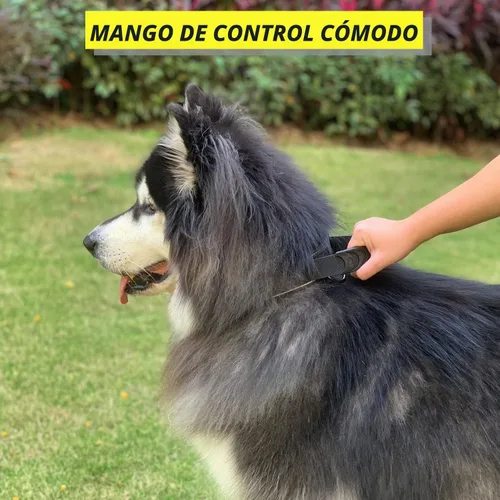 Vista 4 de Collar táctico para perros con asa y hebilla de metal resistente para Negro