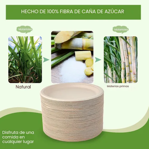 Vista 5 de Vplus Paquete de 150 platos de papel desechables compostables de 10 pulgadas, súper fuertes, 100% bagazo, natural, biodegradables, ecológicos