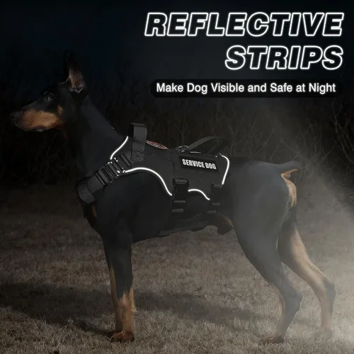 Vista 8 de Juego de chaleco y correa táctico para perro de servicio, arnés resistente con hebillas de metal para perros de tamaño mediano, chaleco ajustable