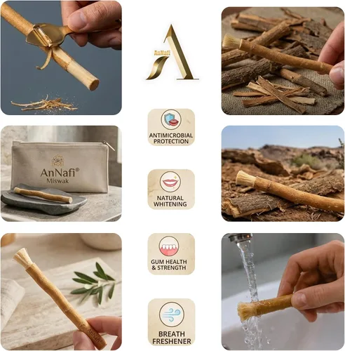Vista 6 de AnNafi® Siwak Miswak Stick Meswak Arak Peelu - Palo de masticar con sabor natural, cepillo orgánico sellado al vacío, cepillo de dientes de hierbas