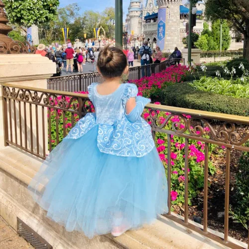 Vista 4 de JWZWJ Fancy Cinderella Princess Dress Costume Puff Sleeve Halloween Birthady Party Cosplay for Girls 2-11T