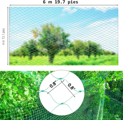 Vista 4 de Ruolan Red para pájaros para jardín, protege plantas vegetales y árboles frutales, 13 x 20 pies, red de plástico para pájaros, ciervos, ardillas