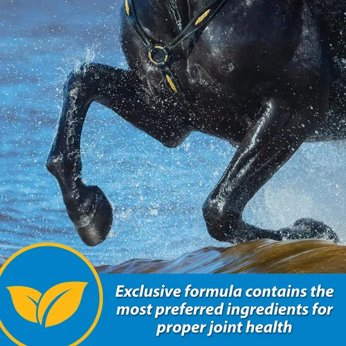 Vista 5 de Farnam Fluidflex Suplemento líquido para articulaciones para caballos, suministro para 128 días, 128 onzas Liquid Joint Supplement for Horses