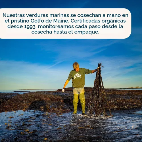 Vista 6 de Maine Coast, Dulse Whole Organic, 2 onzas