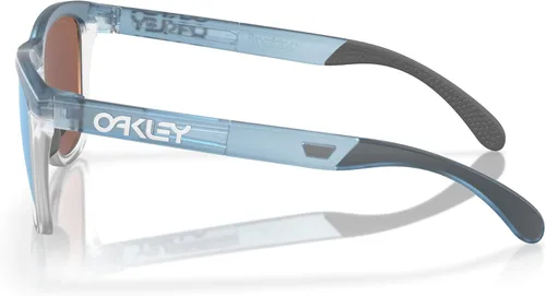 Vista 17 de Oakley unisex-adult Oo9284 Frogskins Range Round Sunglasses