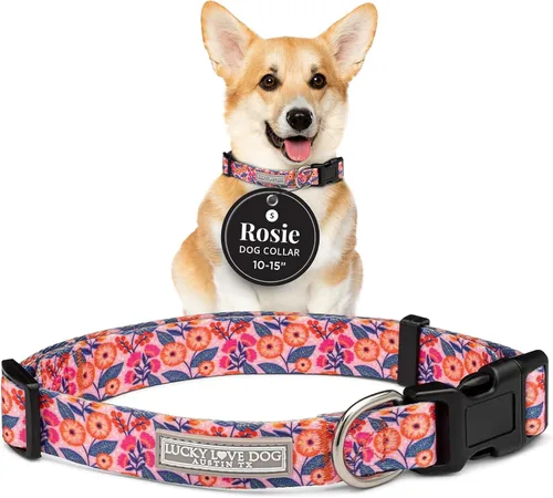 Vista 19 de Lucky Love Dog - Collar para perras pequeñas, diseño Blackbird de estampado alegre con flores de primavera y verano, talla XS Collar Blackbird