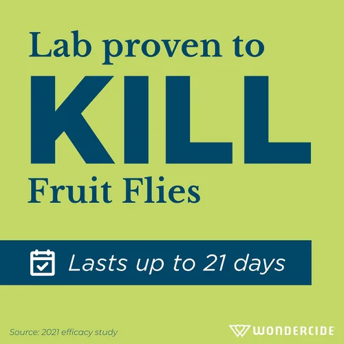 Vista 4 de Wondercide - Trampas para moscas de frutas para interiores - Matamoscas de la fruta - Seguro para mascotas y personas - Fabricado en Estados Unidos