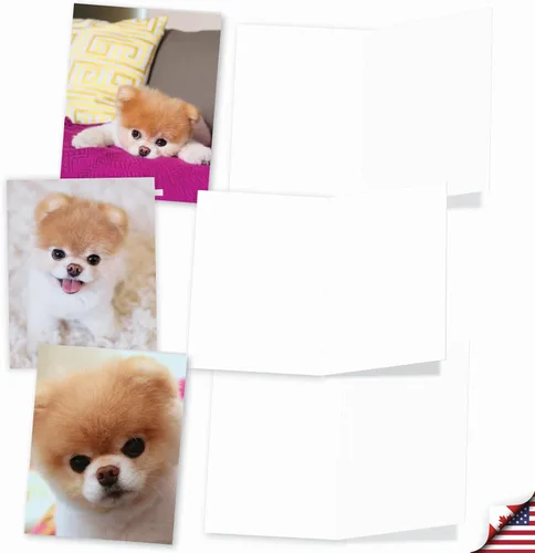 Vista 3 de The Best Card Company - 10 tarjetas de felicitación para perros en blanco para todas las ocasiones (4 x 5.12 pulgadas) - Boo El perro más lindo