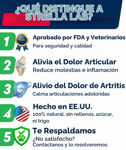 Vista 10 de Glucosamina avanzada para perros, condroitina y MSM suplemento masticable para articulaciones de cadera