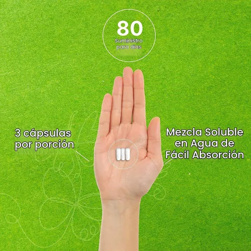 Vista 5 de DEAL SUPPLEMENT Complejo de ácido hialurónico 1,500 mg - 240 cápsulas, con MSM y vitamina C