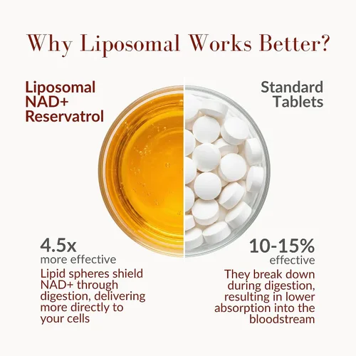 Vista 6 de Aurora Nutrascience Vida Lifescience - Suplemento líquido liposomal NAD+ con resveratrol/Amazon [NAD +/Resveratrol, paquete de 10 unidades]