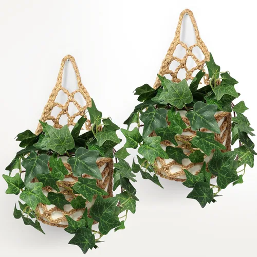 Vista 11 de Paquete de 2 Maceteros de Pared para Plantas de Interior, Colgador de Plantas de Macramé Macetero de Pared, Colgador de Plantas, Macetero Colgante