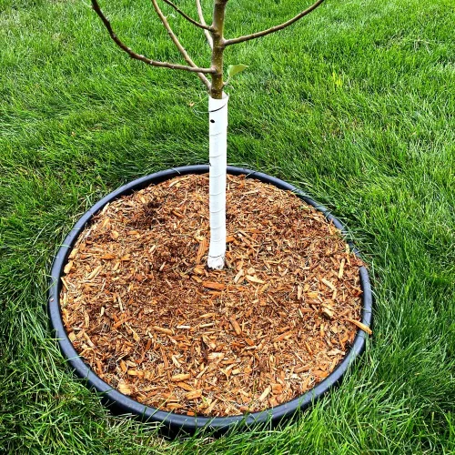 Vista 4 de Master Mark Envoltura de plástico para árboles, protector de tronco de árbol, paquete de 2 protectores en espiral
