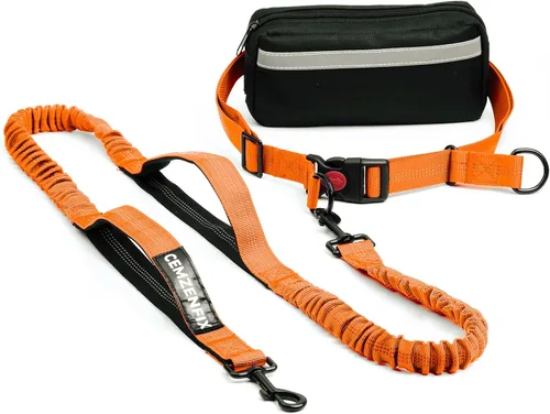 Vista 12 de Correa de perro manos libres con cinturón – Bungee sin tirones, asas acolchadas dobles y bolsa con cremallera para correr, caminar y entrenar