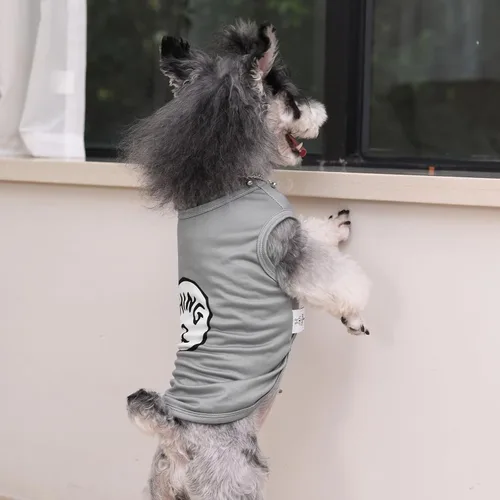 Vista 7 de CuteBone Paquete de 2 camisas para perros, ropa suave para mascotas, chaleco de verano transpirable para cachorros pequeños y ropa elástica