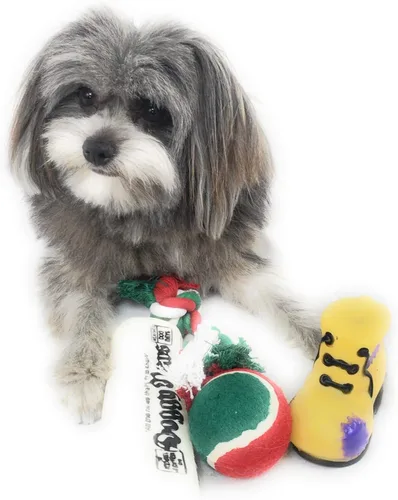 Vista 3 de Calcetín de Navidad para perros. Juguete de periódico chirriante, juguete de bota chirriante, una pelota de tenis roja, verde y blanca y una cuerda
