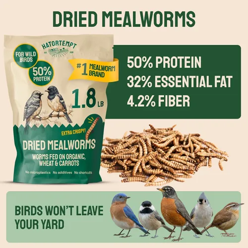Vista 2 de Hatortempt Gusanos secos de harina para aves silvestres – Bolsa de 1.8 libras – Alimento Bluebird – Gusanos de comida con alto contenido