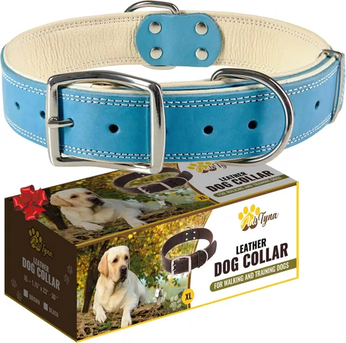 Vista 11 de ADITYNA Collar de perro de cuero negro resistente para perros pequeños, acolchado suave para mayor comodidad, collar de perro pequeño para caminar