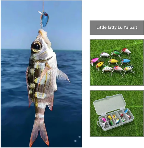 Vista 3 de Create idea 10 señuelos de pesca con gancho agudo, crankbaits mini cebos duros de pesca artificiales para trucha, lubina, agua dulce y salada