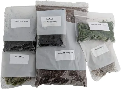 Vista 2 de Kit de Terrario de Hirt's Gardens - Crea Tu Propio Terrario Vivo