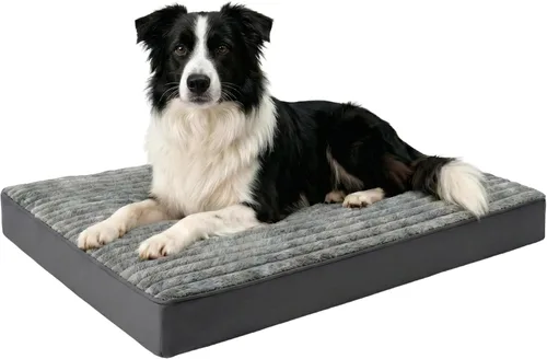 Vista 9 de Cama para perros pequeños, cama ortopédica de franela para mascotas con funda extraíble lavable, cama catre impermeable e indestructible