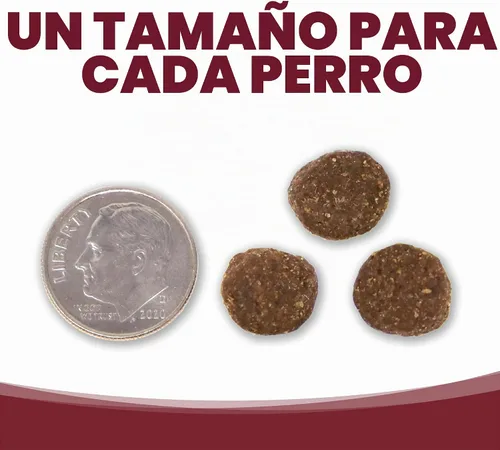 Vista 6 de NutriSource Alimento seco para perros, carne de res y arroz, 4 libras Apoyo digestivo probiótico y prebiótico, piel y pelaje saludables, sin trigo